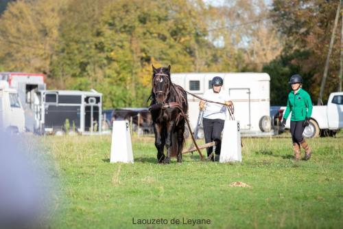 Photos concours 2024-009