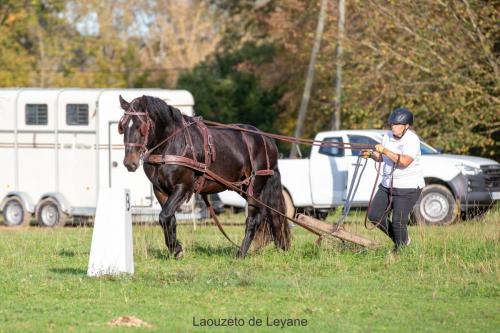 Photos concours 2024-010