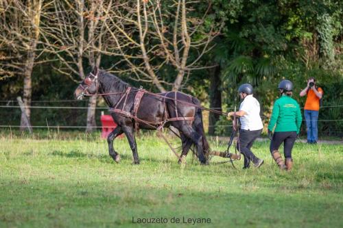 Photos concours 2024-011