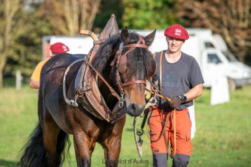 Photos concours 2024-012