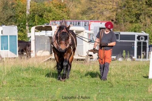 Photos concours 2024-013