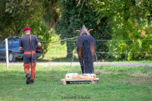 Photos concours 2024-014