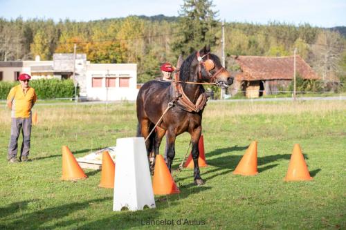 Photos concours 2024-015