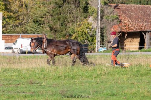 Photos concours 2024-016