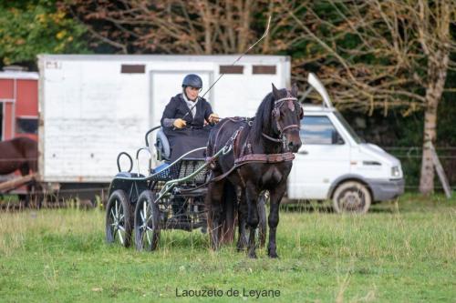 Photos concours 2024-017