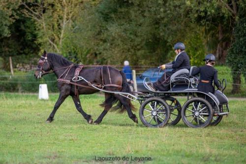 Photos concours 2024-018