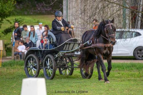 Photos concours 2024-019