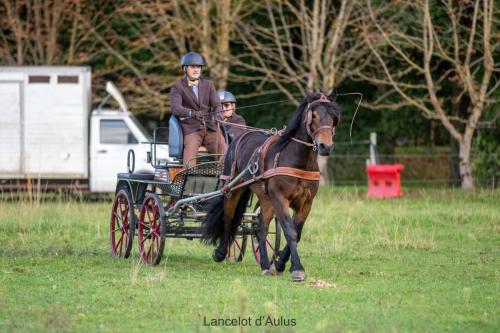 Photos concours 2024-024