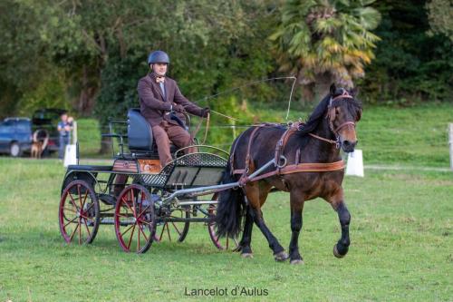 Photos concours 2024-025