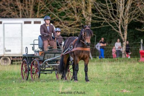 Photos concours 2024-026