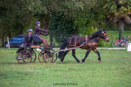 Photos concours 2024-027