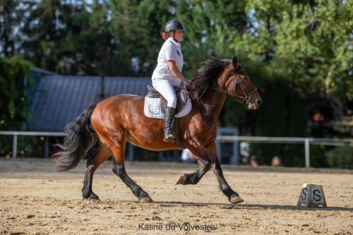 Photos concours 2024-029