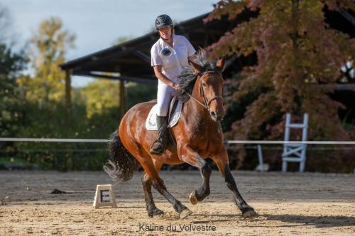 Photos concours 2024-030