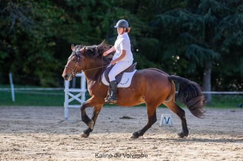 Photos concours 2024-032