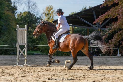 Photos concours 2024-033