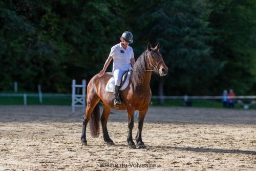 Photos concours 2024-035