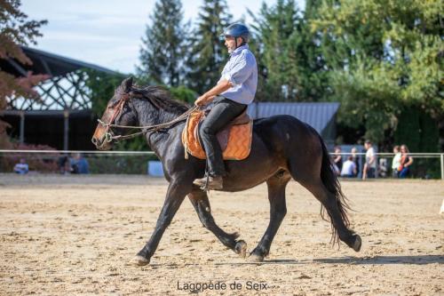 Photos concours 2024-038