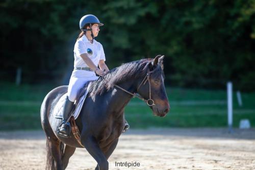 Photos concours 2024-061