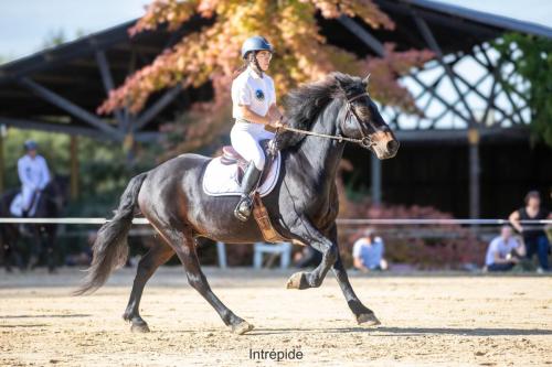 Photos concours 2024-062