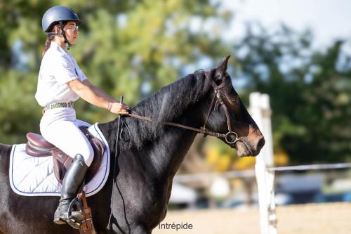 Photos concours 2024-067