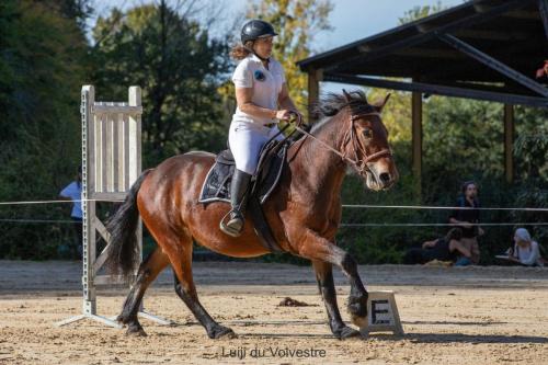 Photos concours 2024-070