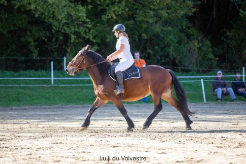 Photos concours 2024-071