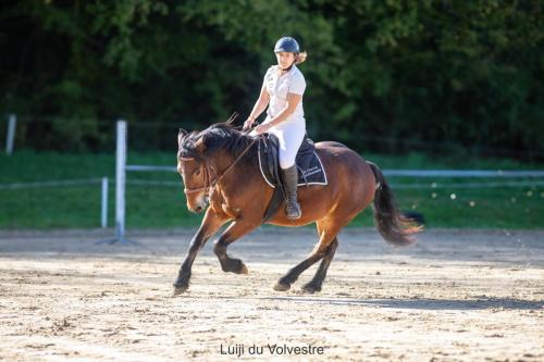 Photos concours 2024-072