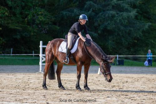 Photos concours 2024-078