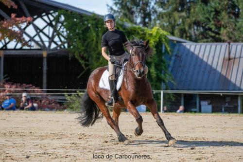 Photos concours 2024-079