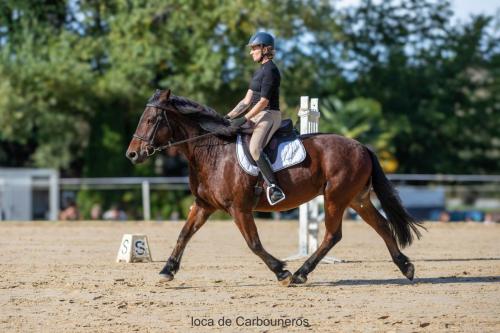 Photos concours 2024-080