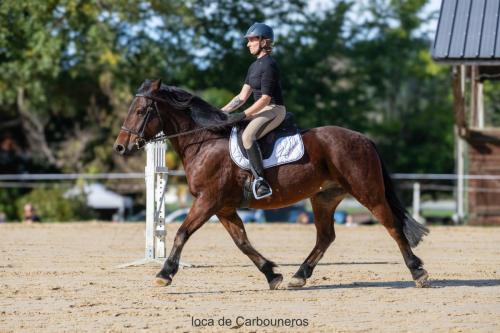 Photos concours 2024-081