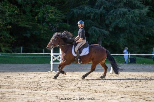 Photos concours 2024-082