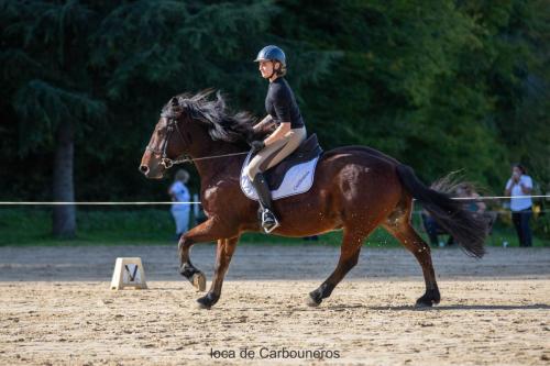 Photos concours 2024-083