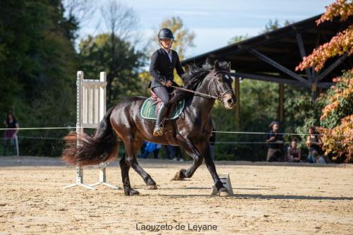 Photos concours 2024-087