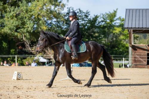 Photos concours 2024-089