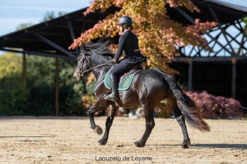 Photos concours 2024-091