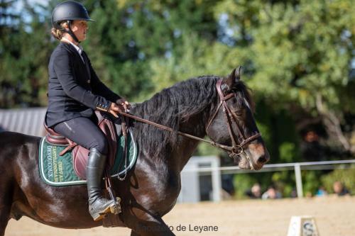 Photos concours 2024-092