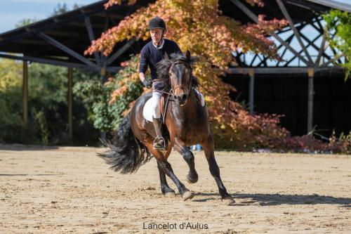 Photos concours 2024-094