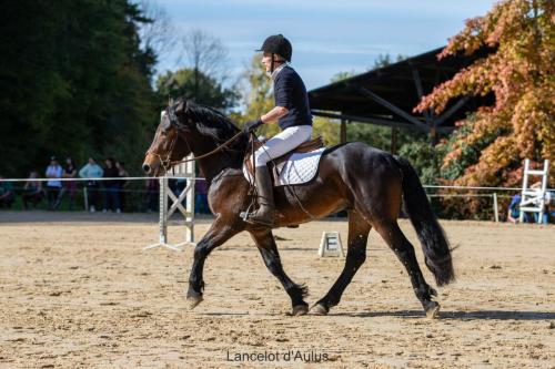 Photos concours 2024-095