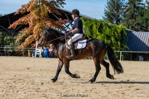 Photos concours 2024-096