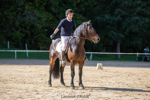 Photos concours 2024-099