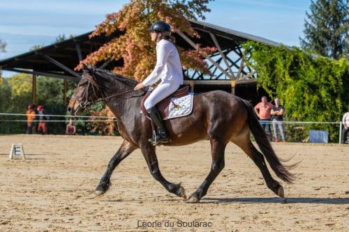 Photos concours 2024-104