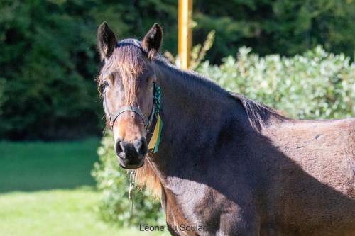 Photos concours 2024-122