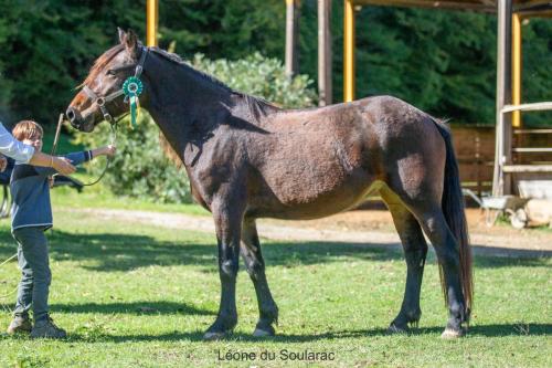 Photos concours 2024-123