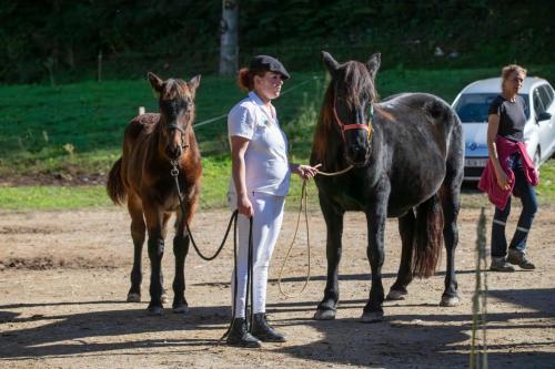 Photos concours 2024-124