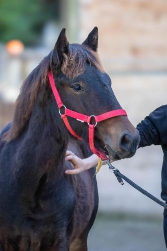 Photos concours 2024-128