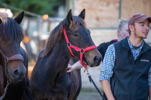 Photos concours 2024-129