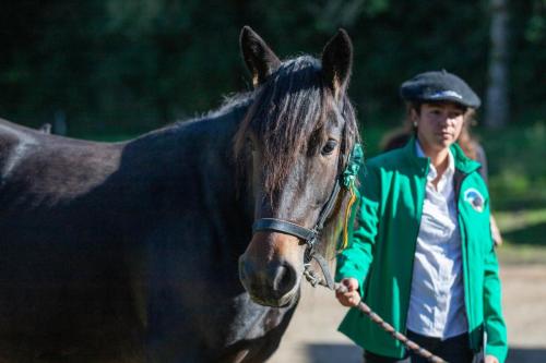 Photos concours 2024-130