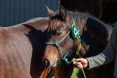 Photos concours 2024-132