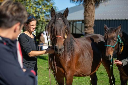 Photos concours 2024-133